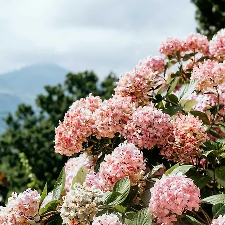 Chambres D'hotes Irazabala 3*