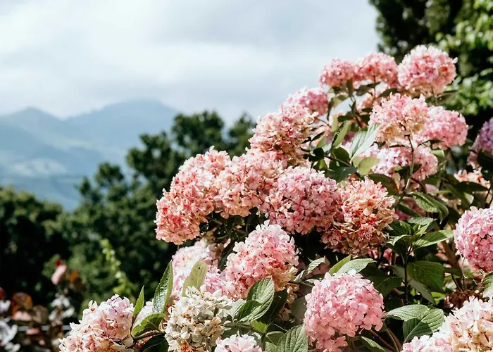 D'hotes Irazabala 3*